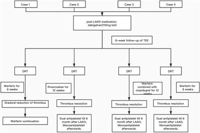 Closure Device-Related Thrombosis After Anticoagulation With Dabigatran in Patients Undergoing Percutaneous Left Atrial Appendage Closure: Case Reports and Literature Review